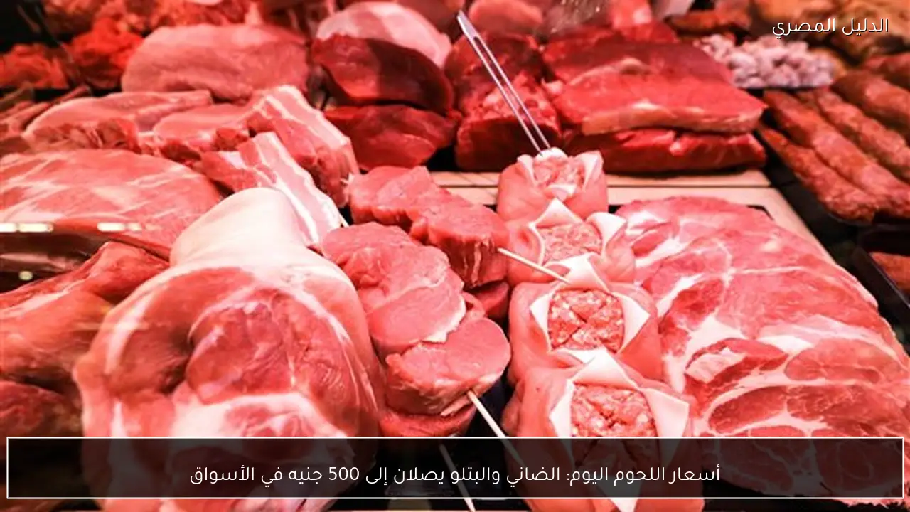 أسعار اللحوم اليوم: الضاني والبتلو يصلان إلى 500 جنيه في الأسواق