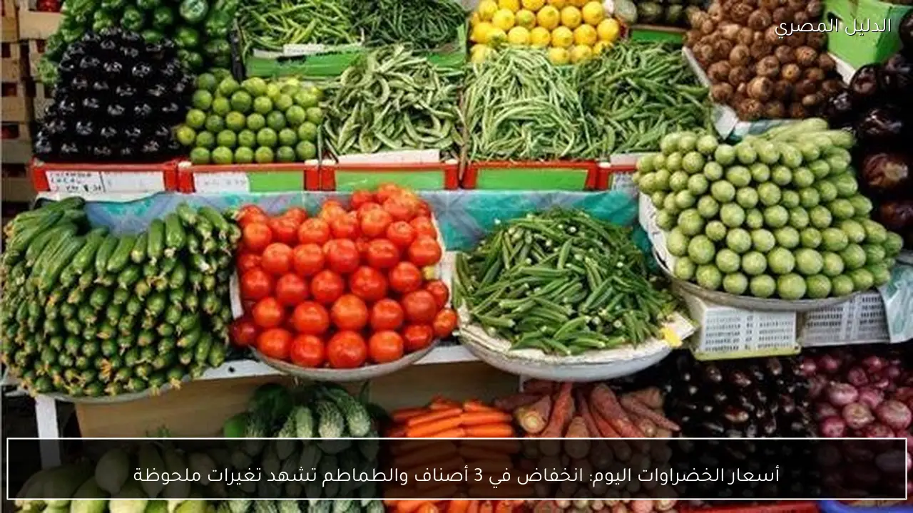 أسعار الخضراوات اليوم: انخفاض في 3 أصناف والطماطم تشهد تغيرات ملحوظة