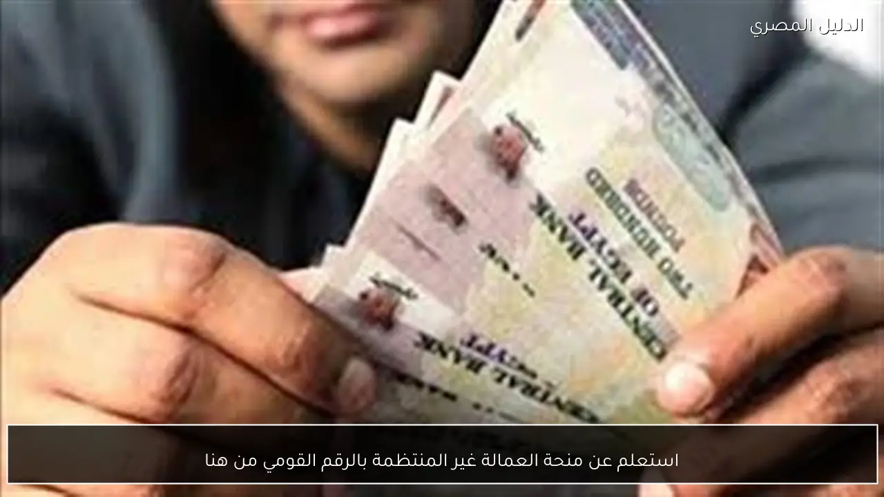 استعلم عن منحة العمالة غير المنتظمة بالرقم القومي من هنا