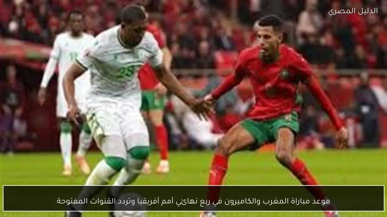 موعد مباراة المغرب والكاميرون في ربع نهائي أمم أفريقيا وتردد القنوات المفتوحة