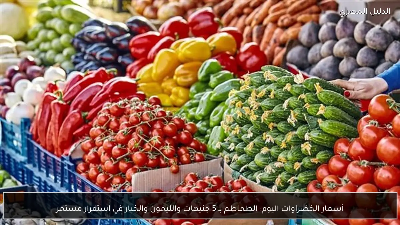 أسعار الخضراوات اليوم: الطماطم بـ 5 جنيهات والليمون والخيار في استقرار مستمر