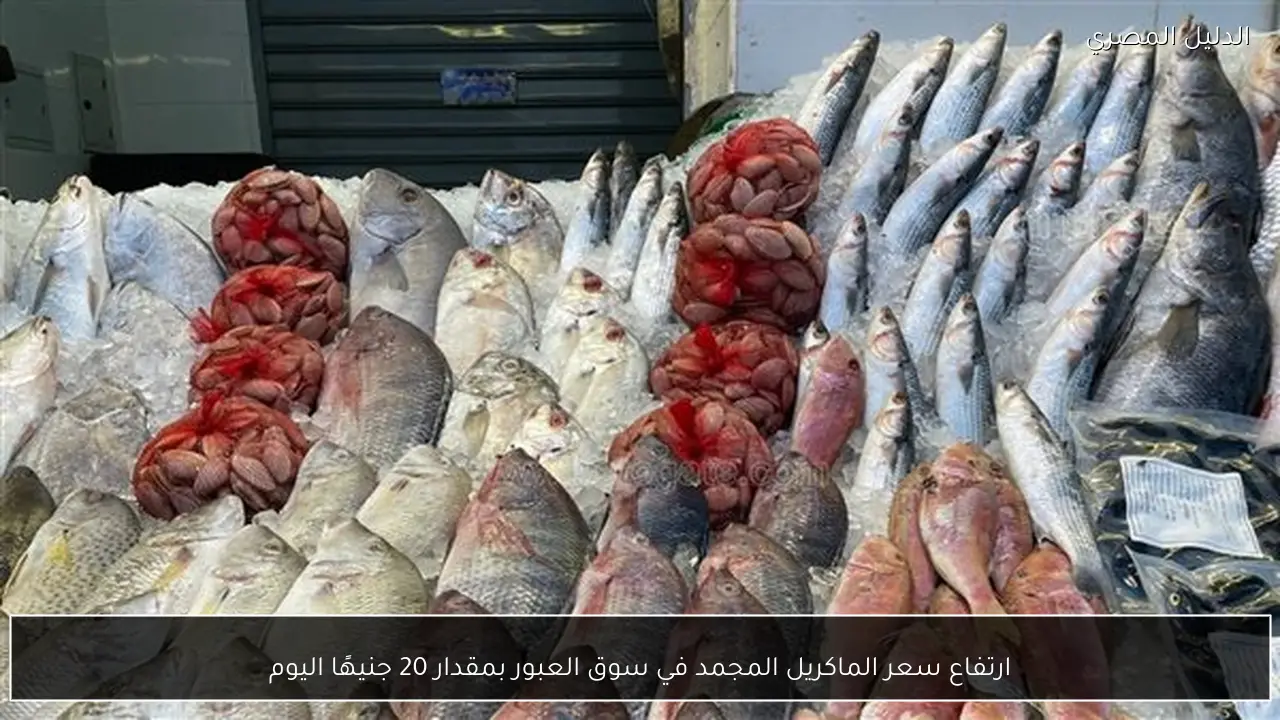ارتفاع سعر الماكريل المجمد في سوق العبور بمقدار 20 جنيهًا اليوم