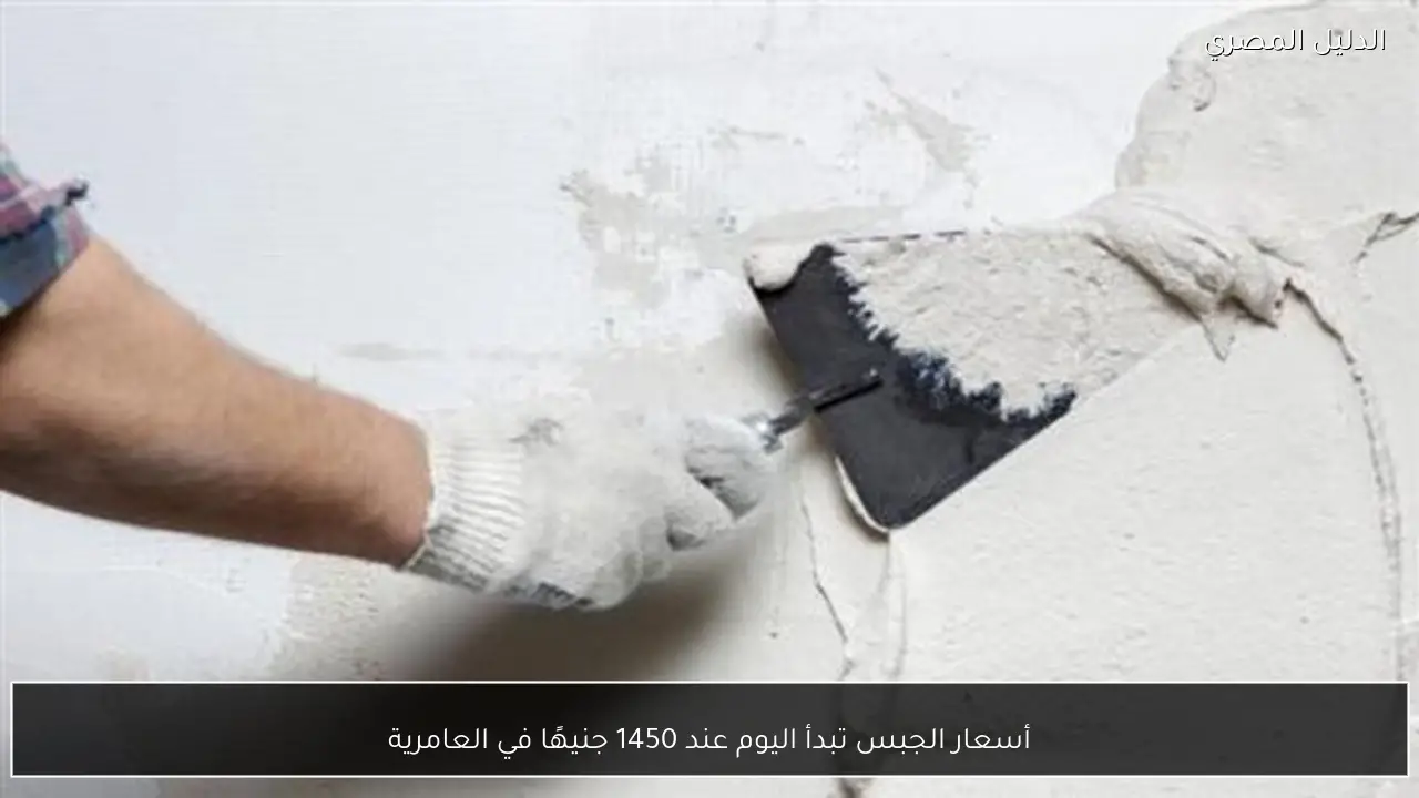 أسعار الجبس تبدأ اليوم عند 1450 جنيهًا في العامرية