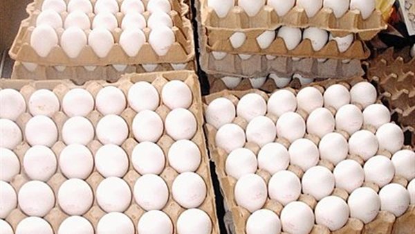 سعر كرتونة البيض اليوم الإثنين في بورصة الدواجن، الدليل المصري