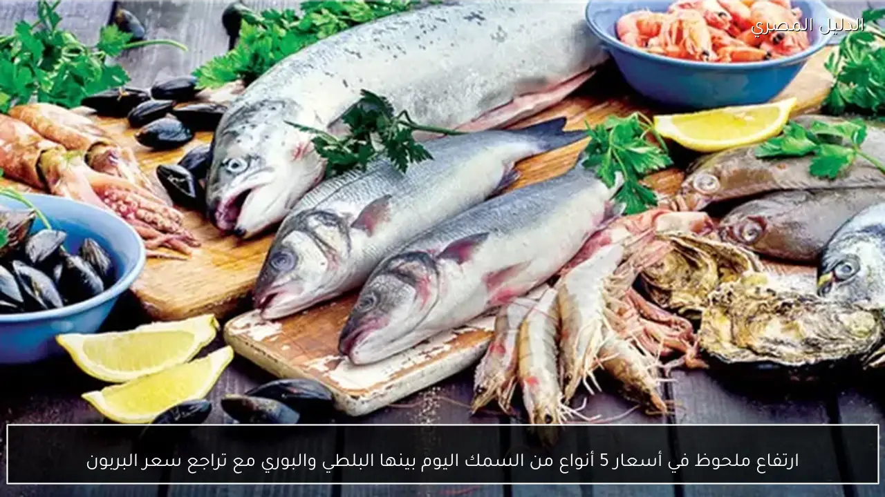 ارتفاع ملحوظ في أسعار 5 أنواع من السمك اليوم بينها البلطي والبوري مع تراجع سعر البربون