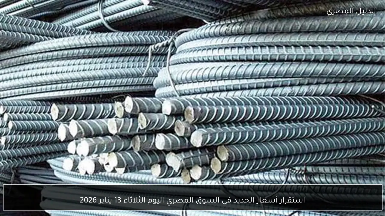 استقرار أسعار الحديد في السوق المصري اليوم الثلاثاء 13 يناير 2026