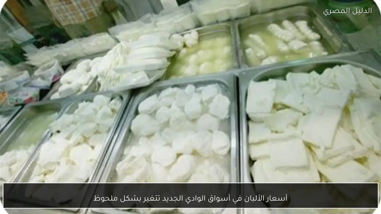 أسعار الألبان في أسواق الوادي الجديد تتغير بشكل ملحوظ