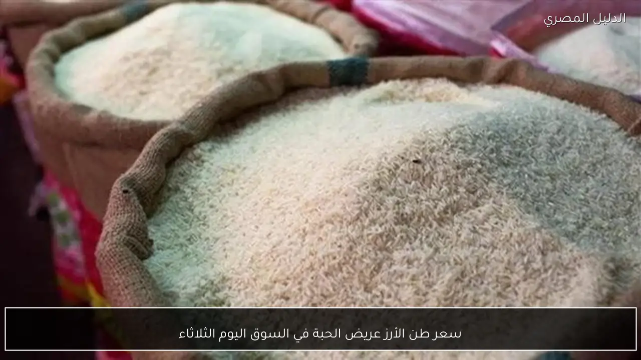 سعر طن الأرز عريض الحبة في السوق اليوم الثلاثاء