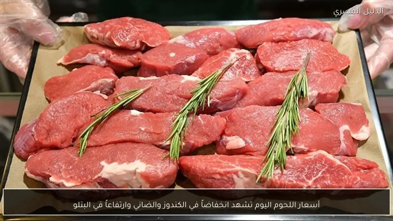 أسعار اللحوم اليوم تشهد انخفاضاً في الكندوز والضاني وارتفاعاً في البتلو