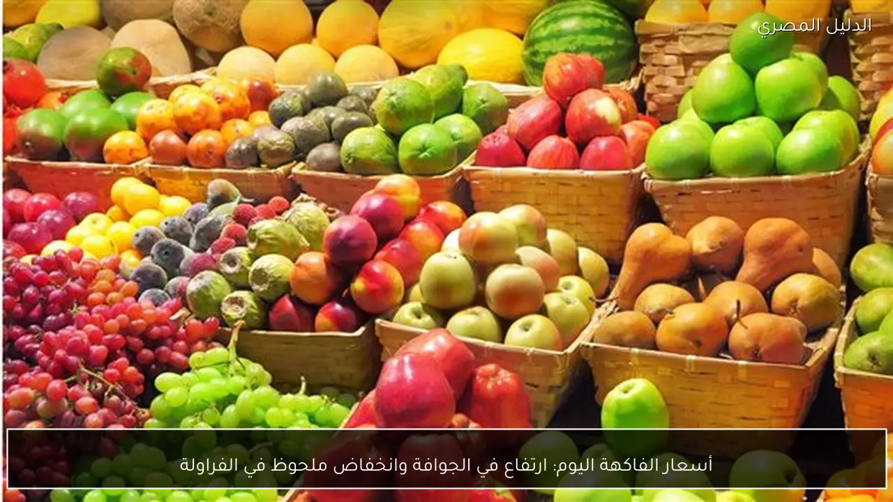 أسعار الفاكهة اليوم: ارتفاع في الجوافة وانخفاض ملحوظ في الفراولة