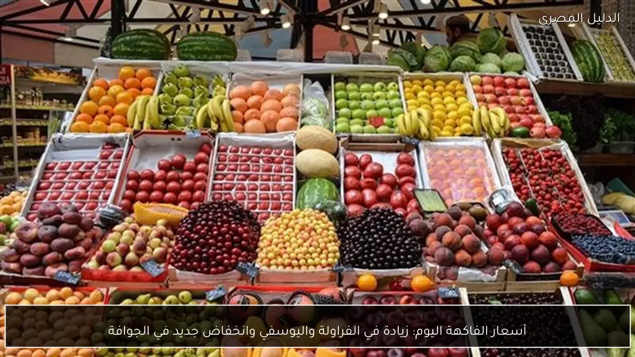 أسعار الفاكهة اليوم: زيادة في الفراولة واليوسفي وانخفاض جديد في الجوافة