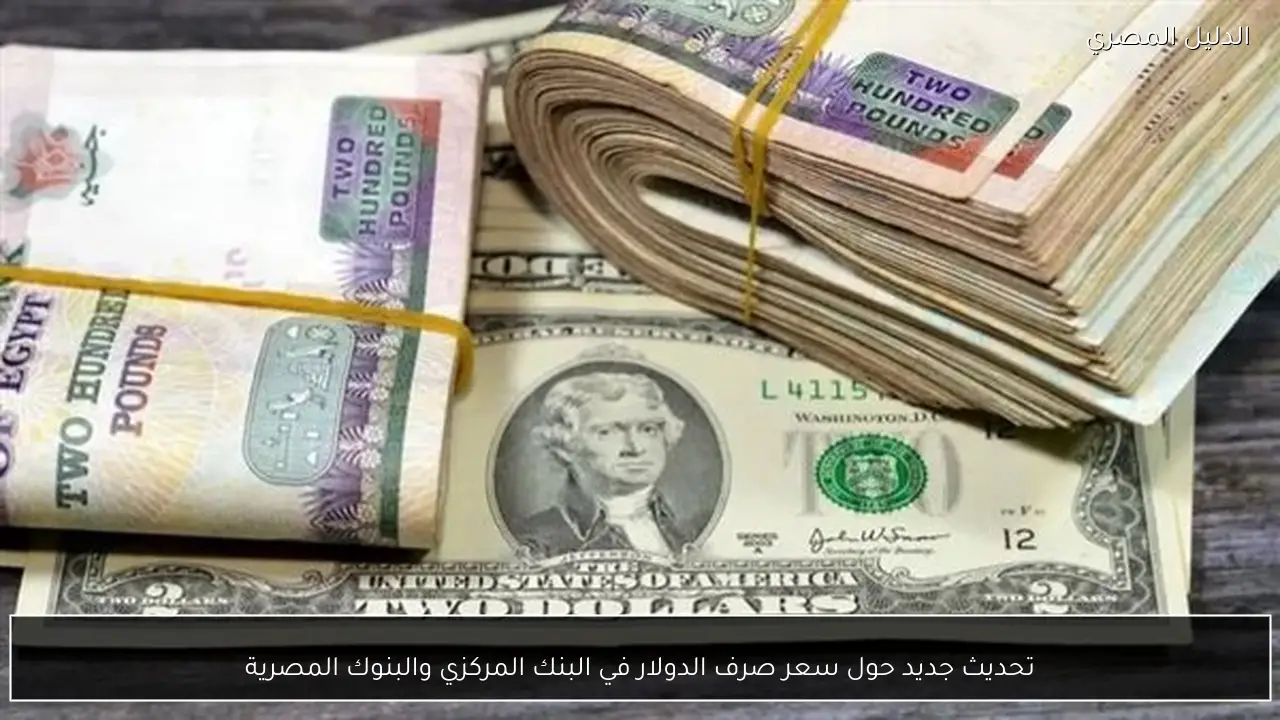 تحديث جديد حول سعر صرف الدولار في البنك المركزي والبنوك المصرية