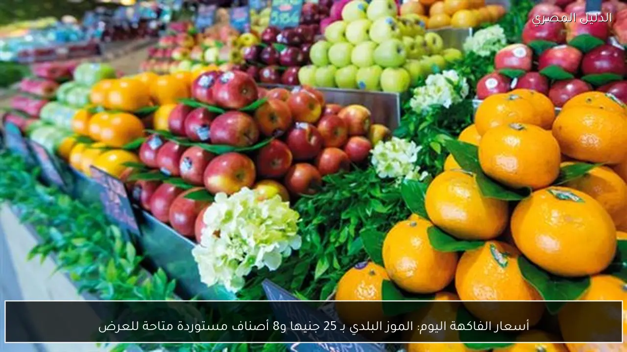 أسعار الفاكهة اليوم: الموز البلدي بـ 25 جنيها و8 أصناف مستوردة متاحة للعرض