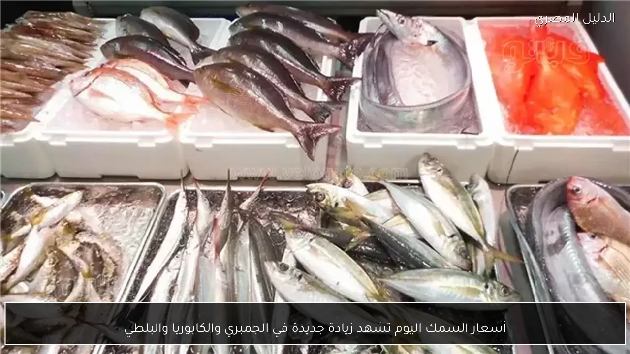 أسعار السمك اليوم تشهد زيادة جديدة في الجمبري والكابوريا والبلطي