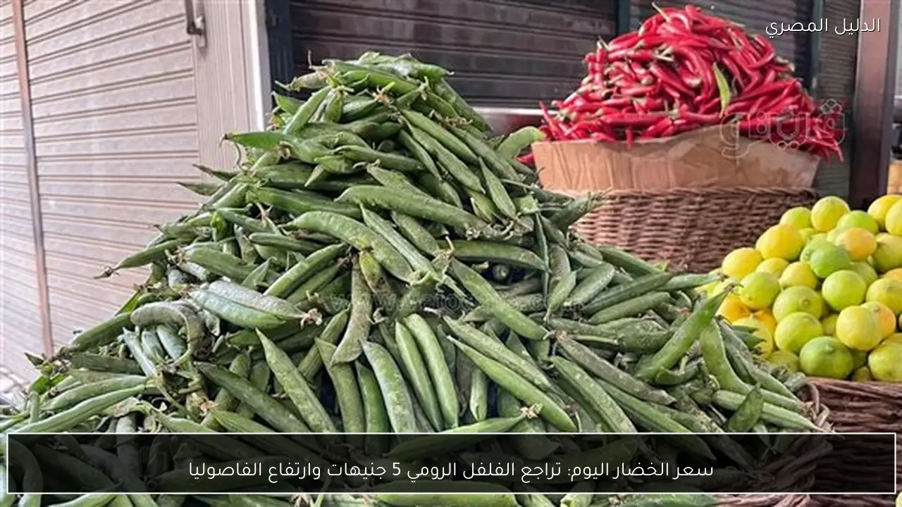 سعر الخضار اليوم: تراجع الفلفل الرومي 5 جنيهات وارتفاع الفاصوليا