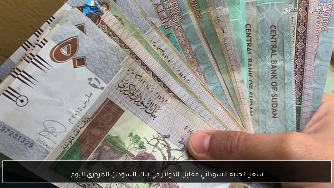 سعر الجنيه السوداني مقابل الدولار في بنك السودان المركزي اليوم