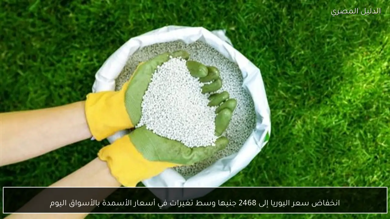 انخفاض سعر اليوريا إلى 2468 جنيها وسط تغيرات في أسعار الأسمدة بالأسواق اليوم