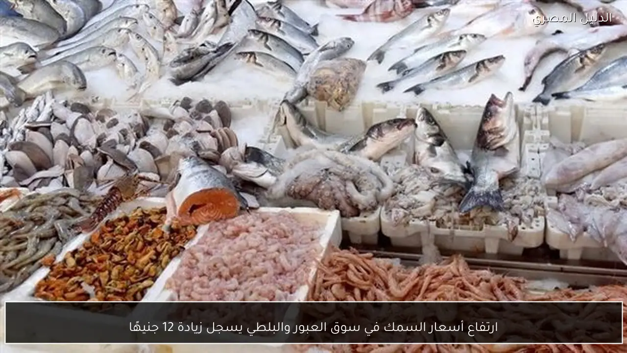 ارتفاع أسعار السمك في سوق العبور والبلطي يسجل زيادة 12 جنيهًا