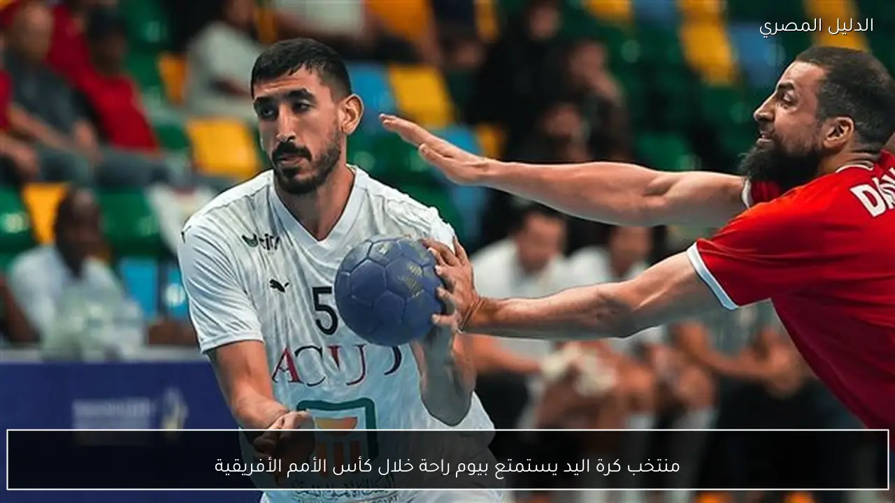منتخب كرة اليد يستمتع بيوم راحة خلال كأس الأمم الأفريقية