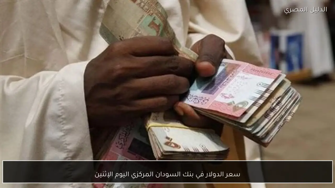 سعر الدولار في بنك السودان المركزي اليوم الإثنين