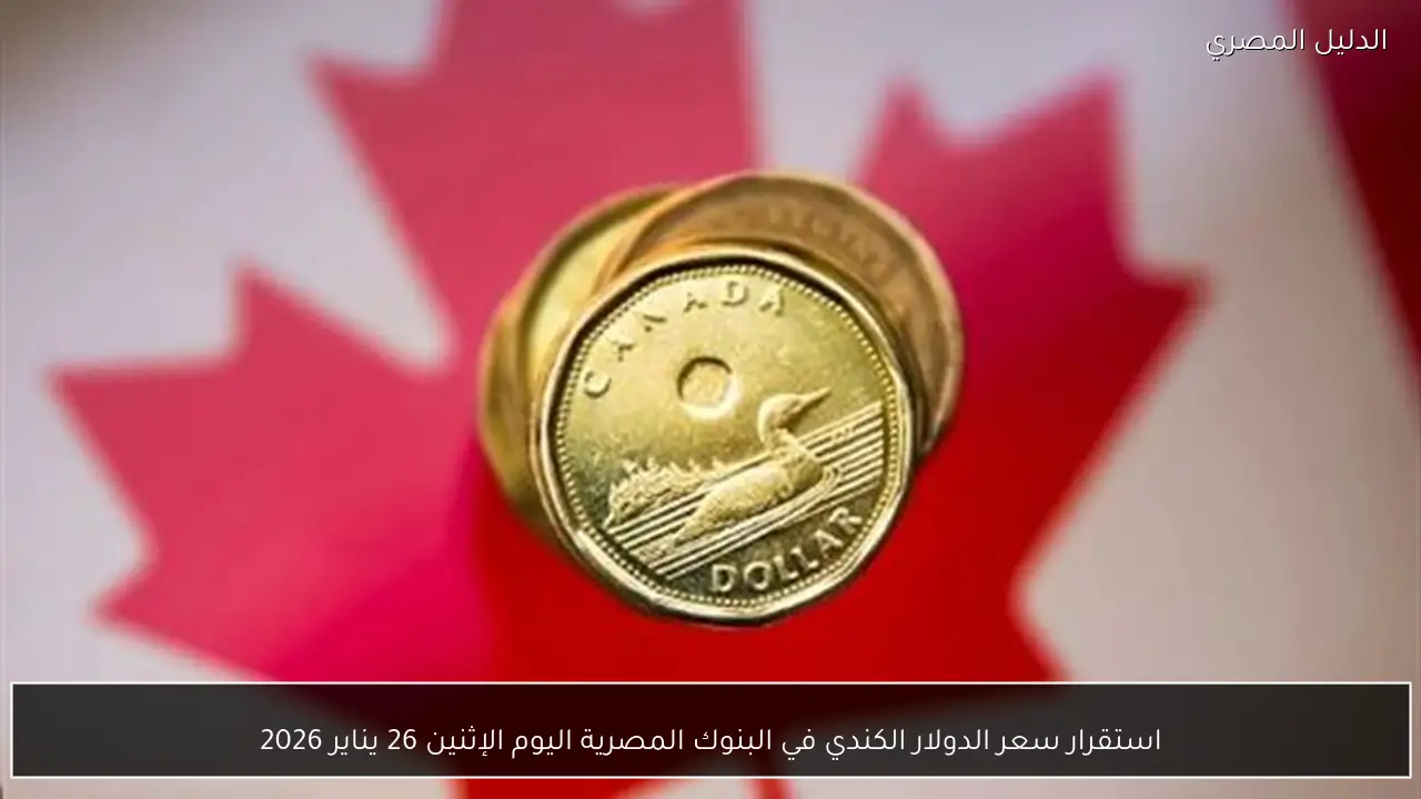 استقرار سعر الدولار الكندي في البنوك المصرية اليوم الإثنين 26 يناير 2026