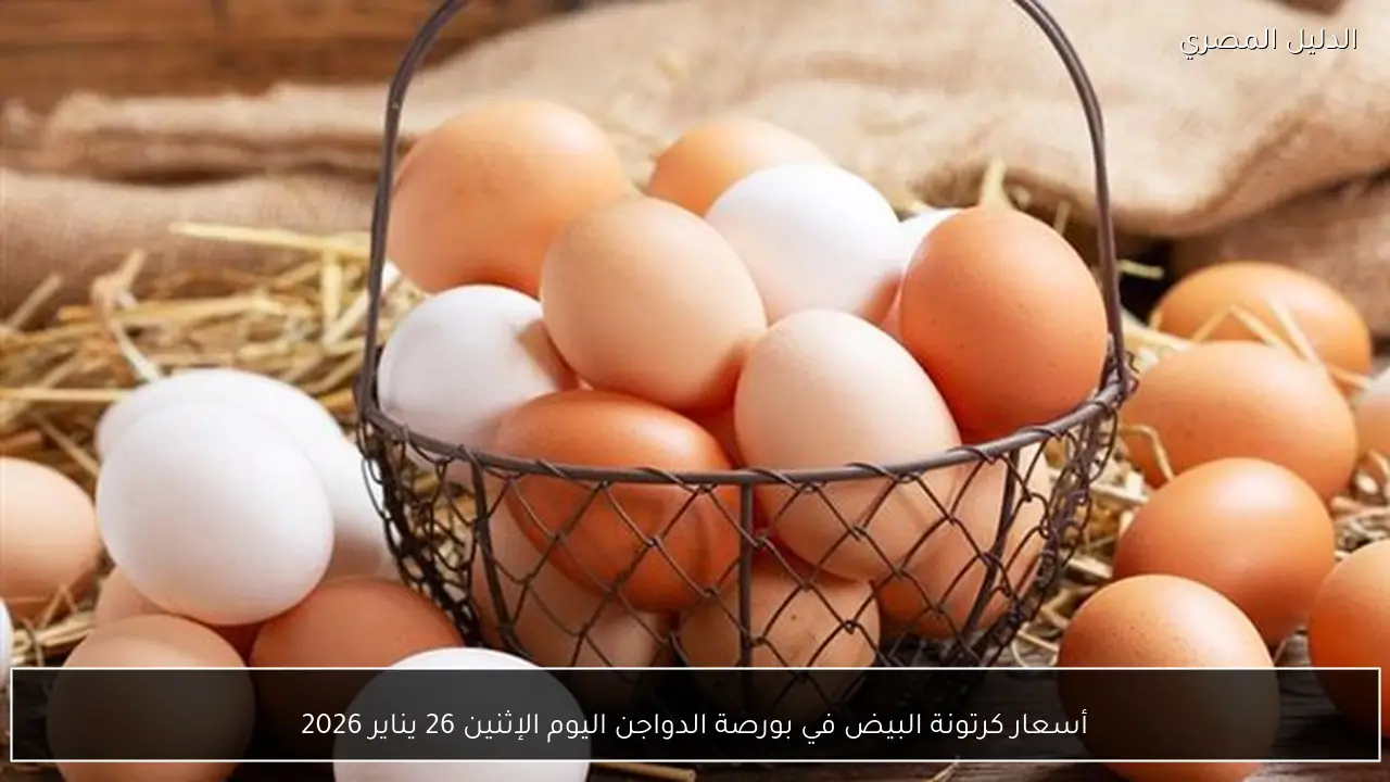 أسعار كرتونة البيض في بورصة الدواجن اليوم الإثنين 26 يناير 2026