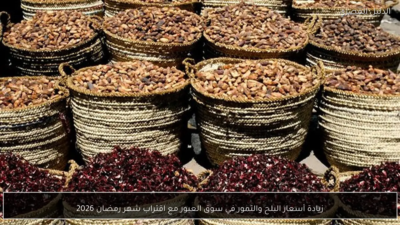 زيادة أسعار البلح والتمور في سوق العبور مع اقتراب شهر رمضان 2026