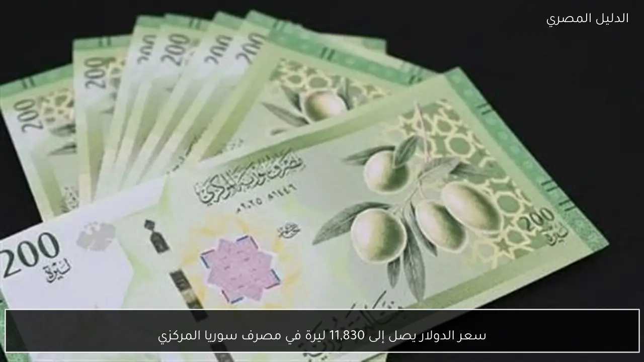سعر الدولار يصل إلى 11,830 ليرة في مصرف سوريا المركزي