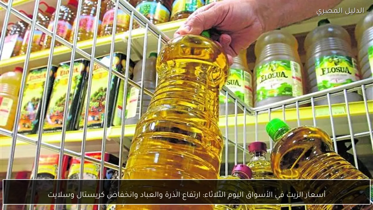 أسعار الزيت في الأسواق اليوم الثلاثاء: ارتفاع الذرة والعباد وانخفاض كريستال وسلايت