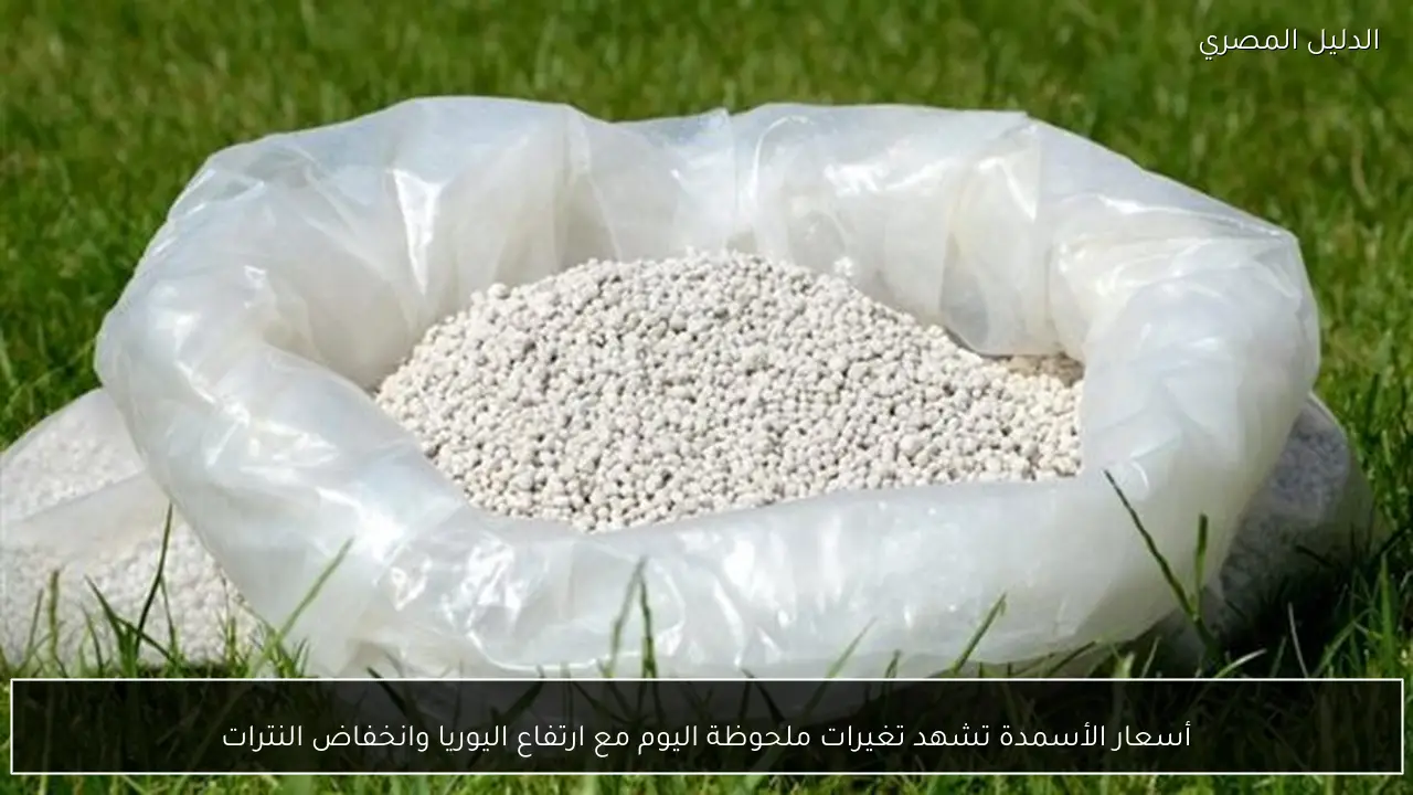 أسعار الأسمدة تشهد تغيرات ملحوظة اليوم مع ارتفاع اليوريا وانخفاض النترات