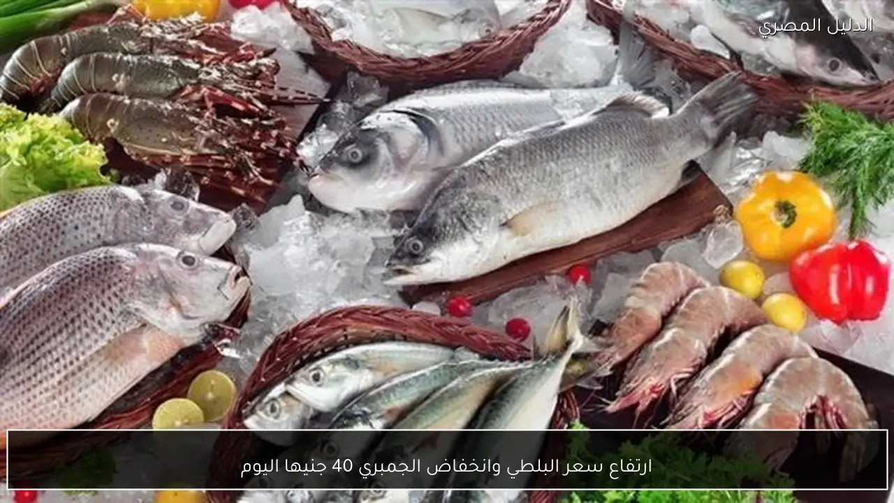 ارتفاع سعر البلطي وانخفاض الجمبري 40 جنيها اليوم