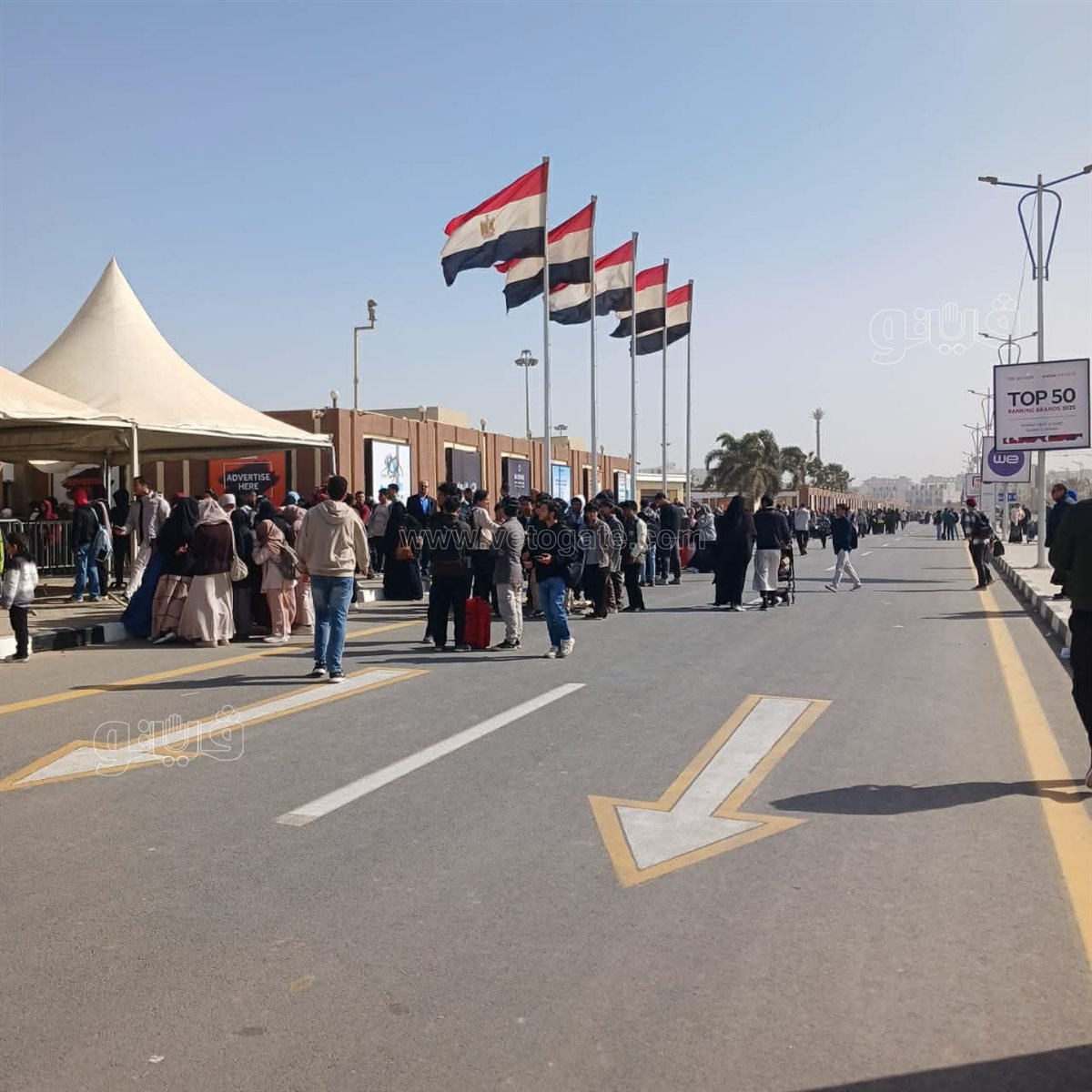 صورة من المعرض