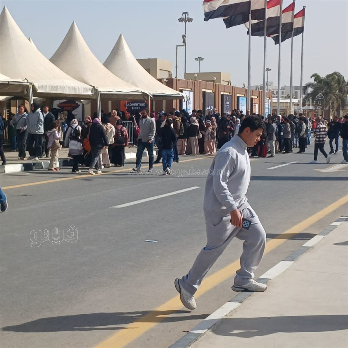 صورة من المعرض