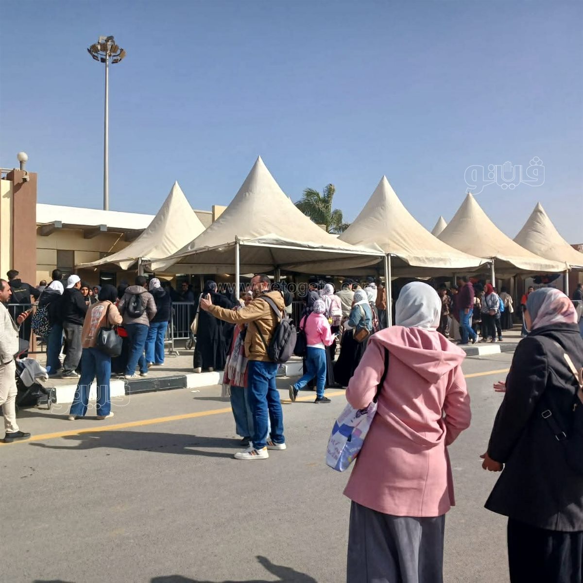 صورة من المعرض