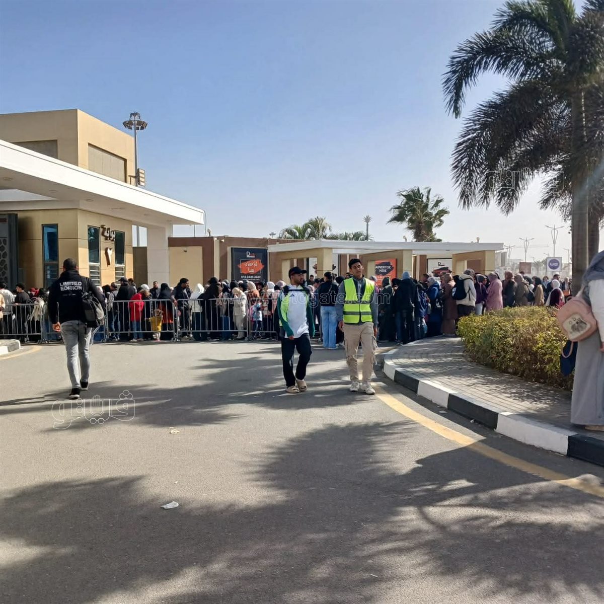 صورة من المعرض