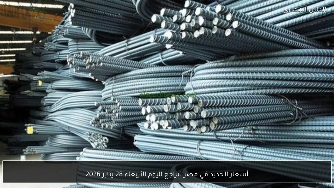 أسعار الحديد في مصر تتراجع اليوم الأربعاء 28 يناير 2026