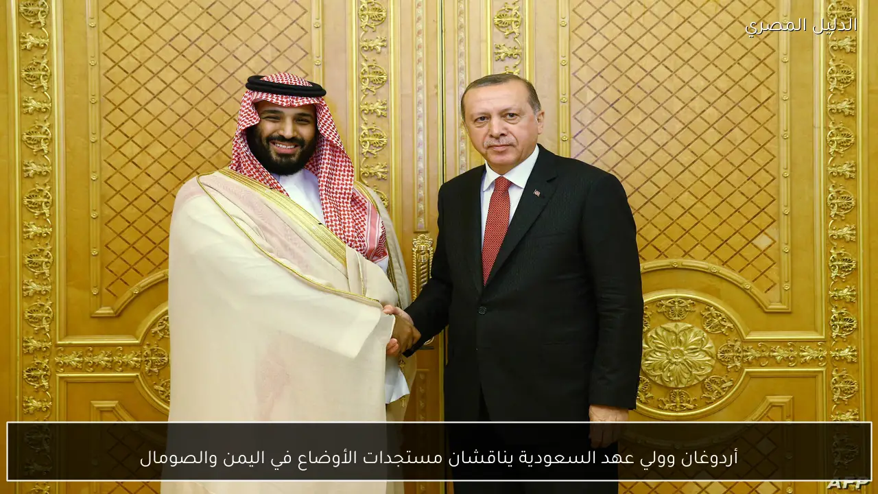 أردوغان وولي عهد السعودية يناقشان مستجدات الأوضاع في اليمن والصومال