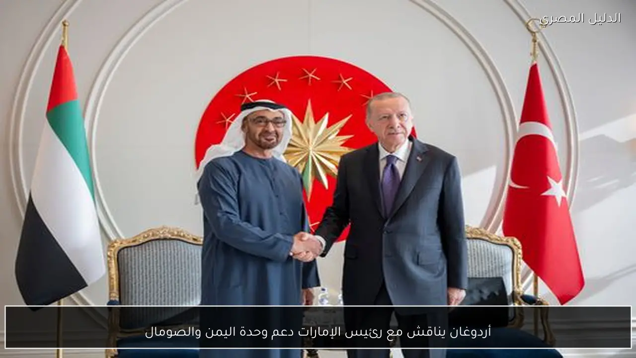 أردوغان يناقش مع رئيس الإمارات دعم وحدة اليمن والصومال