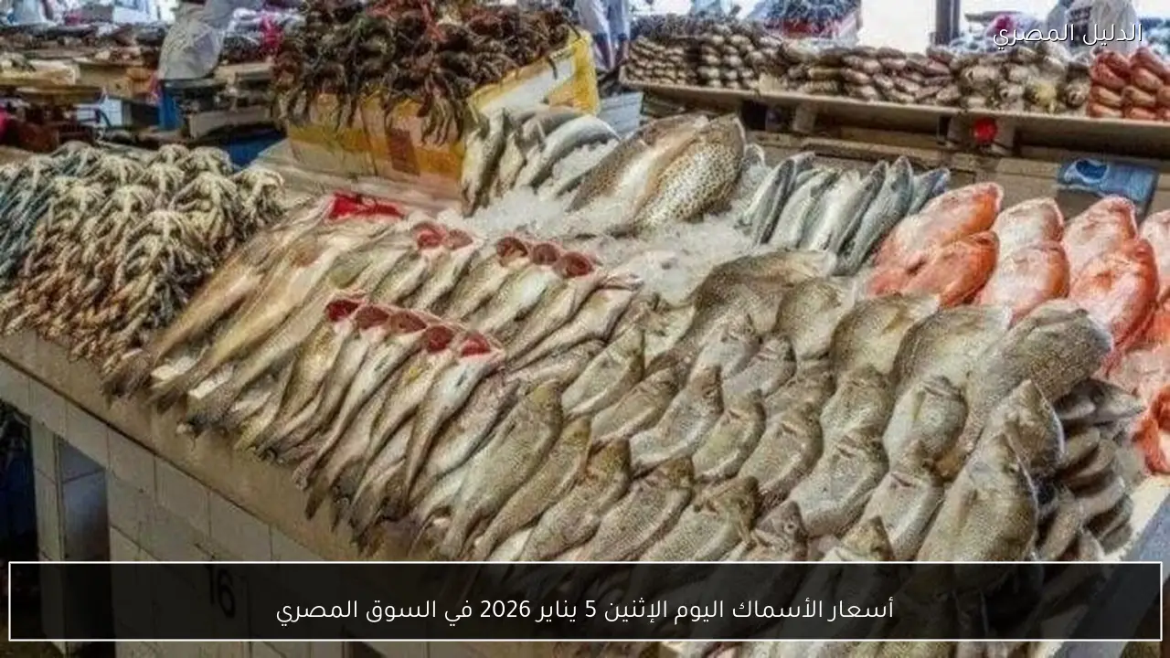 أسعار الأسماك اليوم الإثنين 5 يناير 2026 في السوق المصري