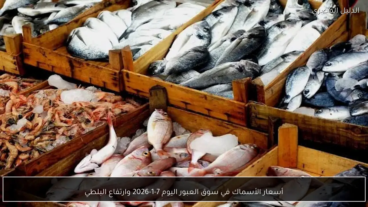 أسعار الأسماك في سوق العبور اليوم 7-1-2026 وارتفاع البلطي