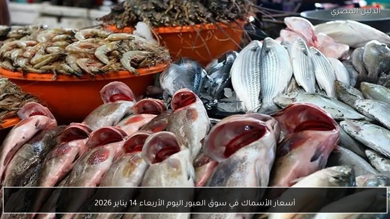 أسعار الأسماك في سوق العبور اليوم الأربعاء 14 يناير 2026