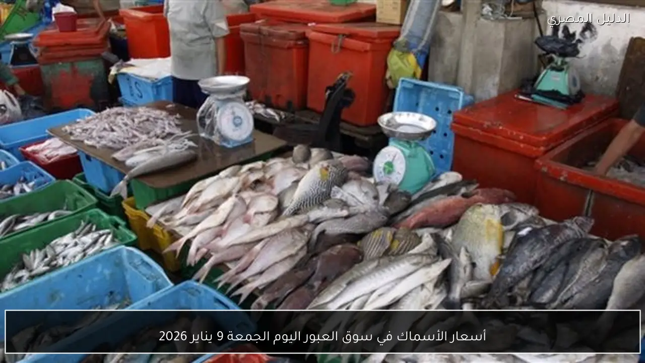 أسعار الأسماك في سوق العبور اليوم الجمعة 9 يناير 2026