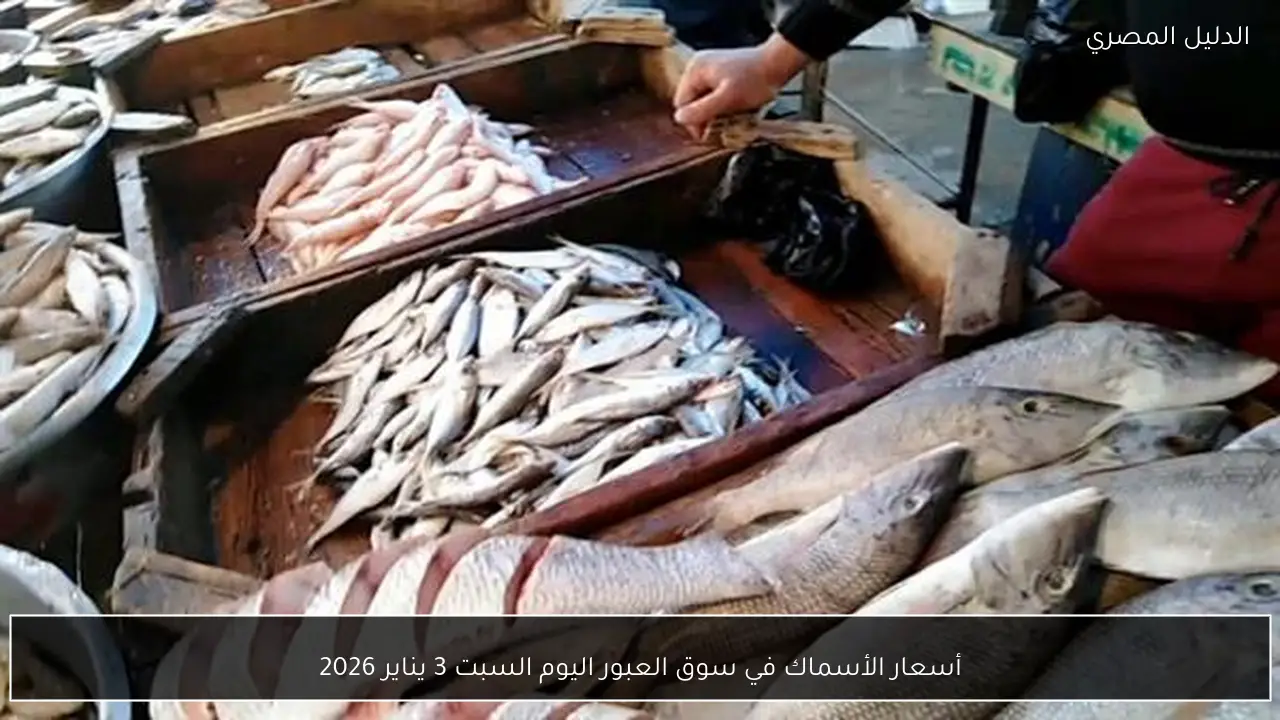أسعار الأسماك في سوق العبور اليوم السبت 3 يناير 2026