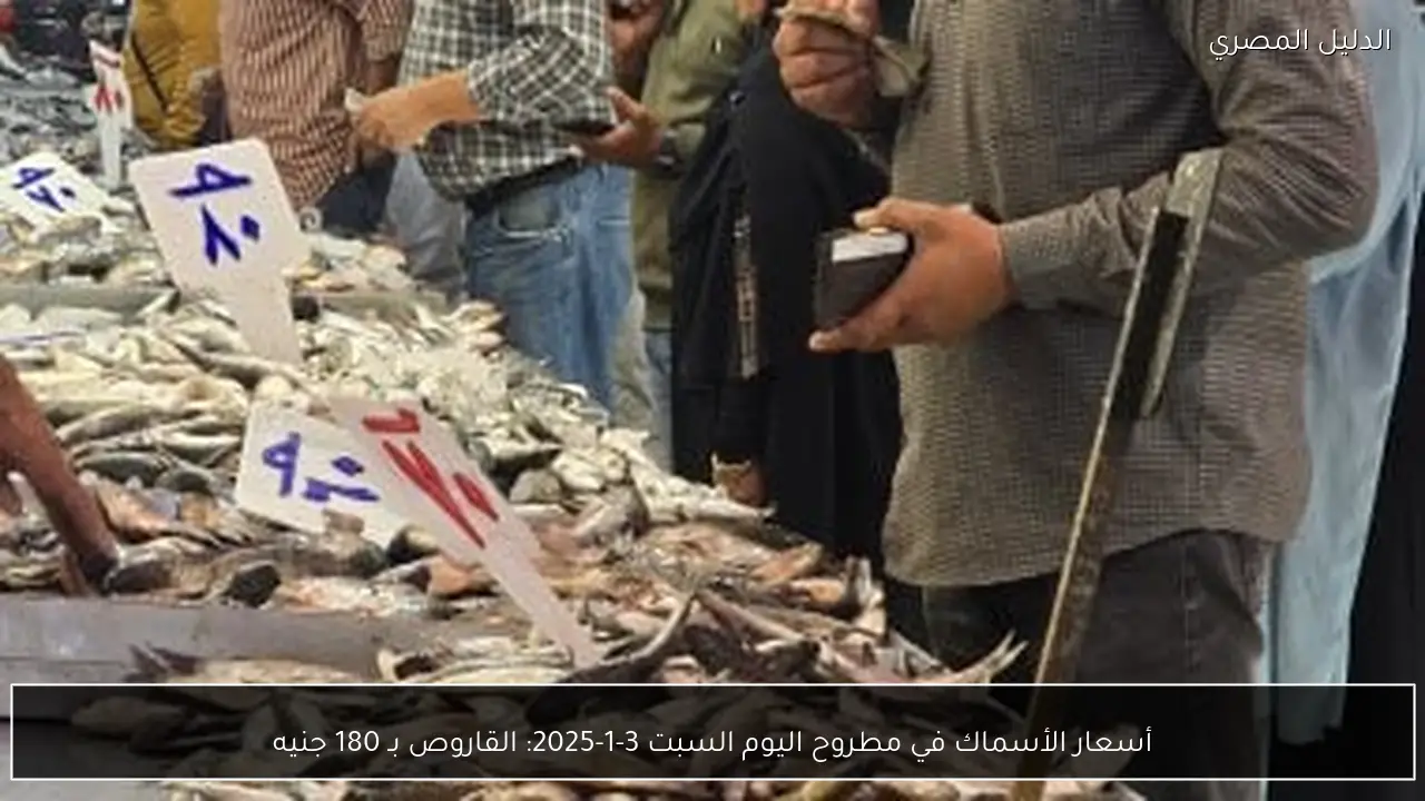 أسعار الأسماك في مطروح اليوم السبت 3-1-2025: القاروص بـ 180 جنيه