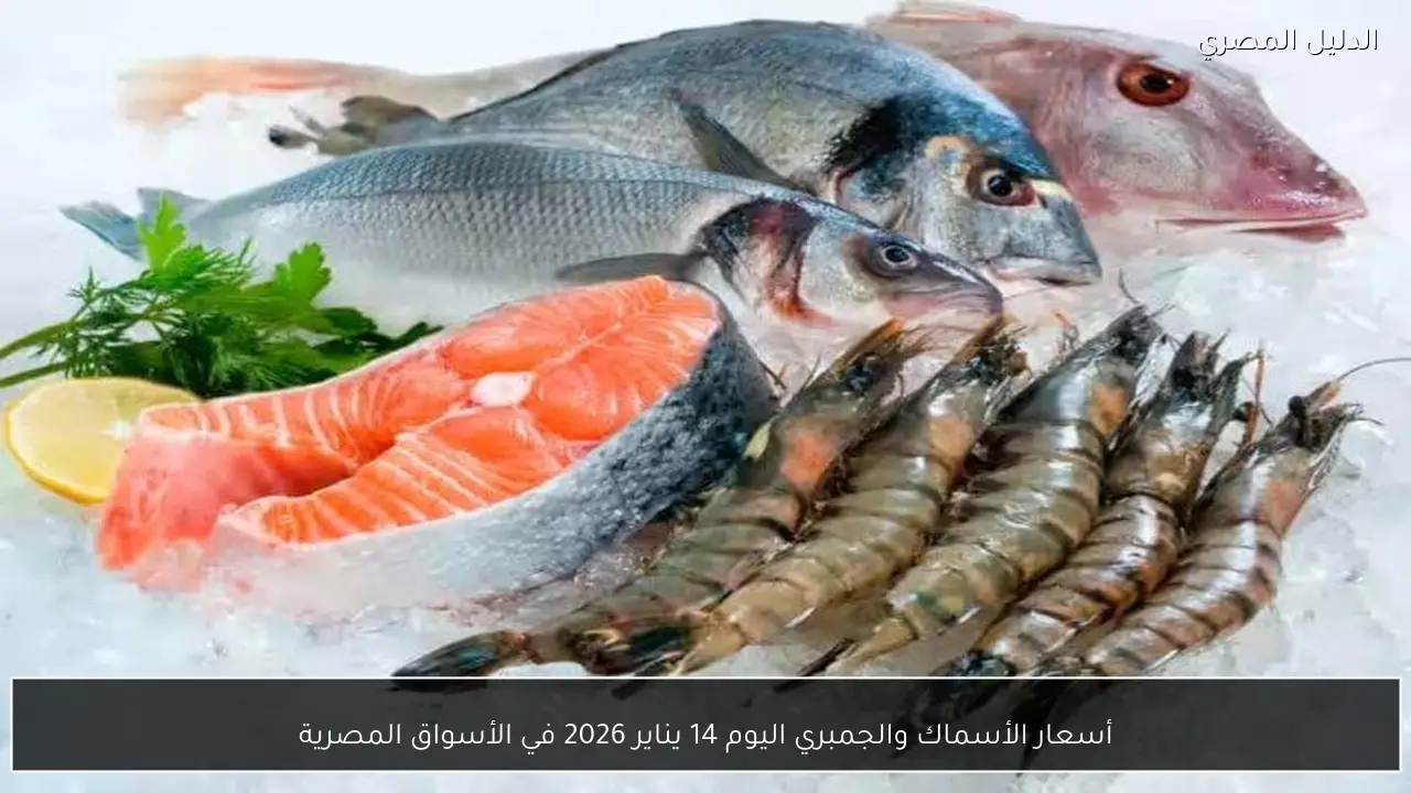 أسعار الأسماك والجمبري اليوم 14 يناير 2026 في الأسواق المصرية