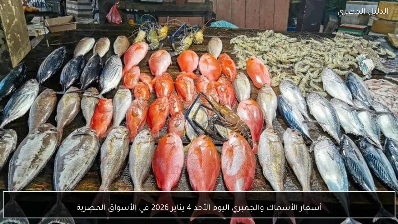 أسعار الأسماك والجمبري اليوم الأحد 4 يناير 2026 في الأسواق المصرية