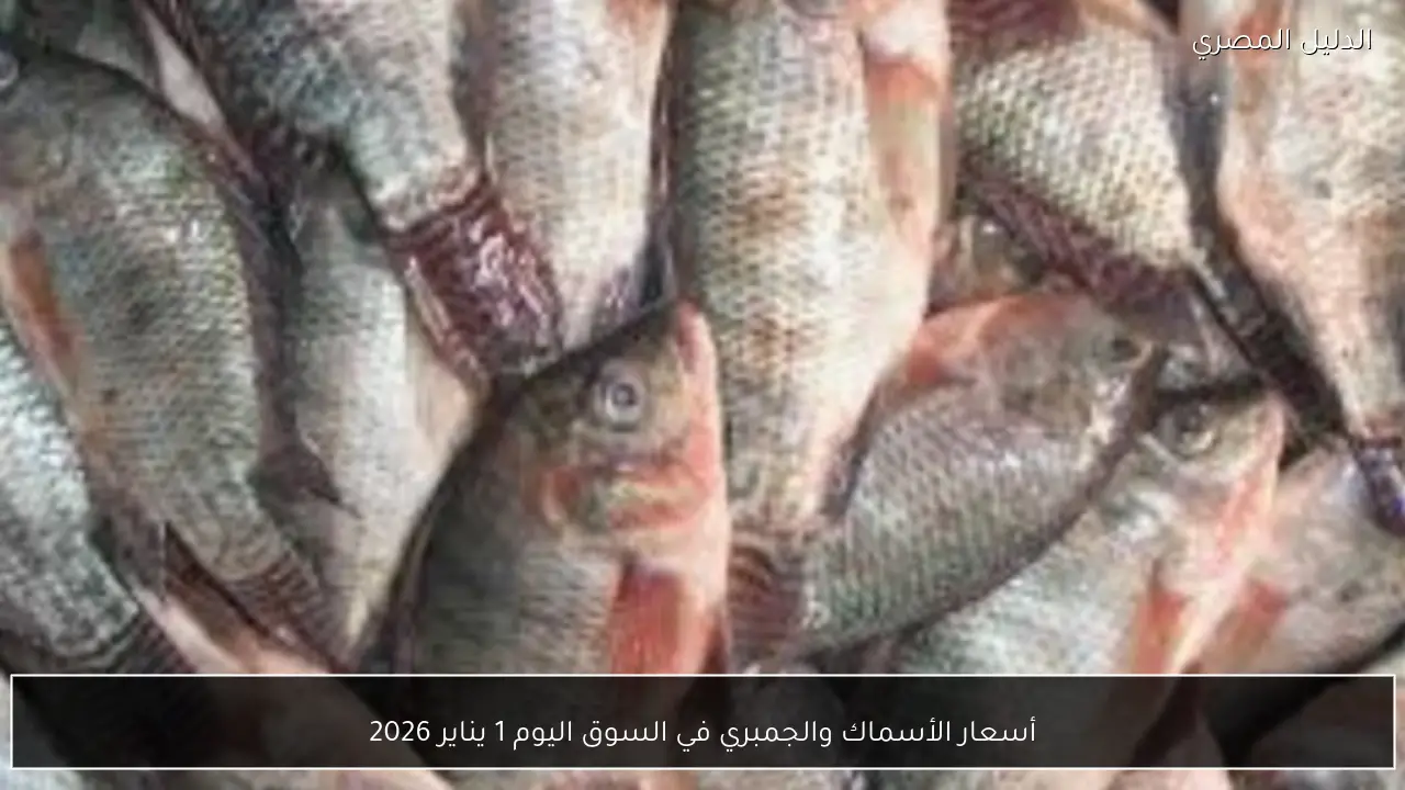 أسعار الأسماك والجمبري في السوق اليوم 1 يناير 2026