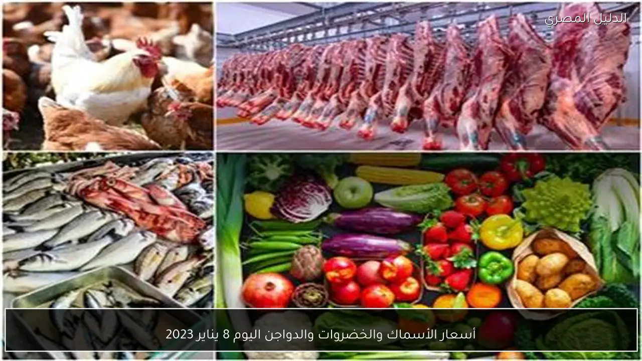 أسعار الأسماك والخضروات والدواجن اليوم 8 يناير 2023