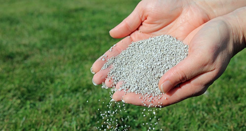 سعر السماد اليوم، الدليل المصري