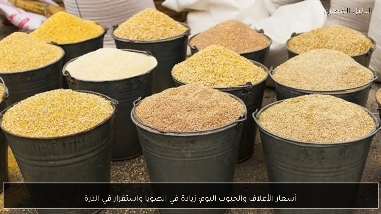 أسعار الأعلاف والحبوب اليوم: زيادة في الصويا واستقرار في الذرة